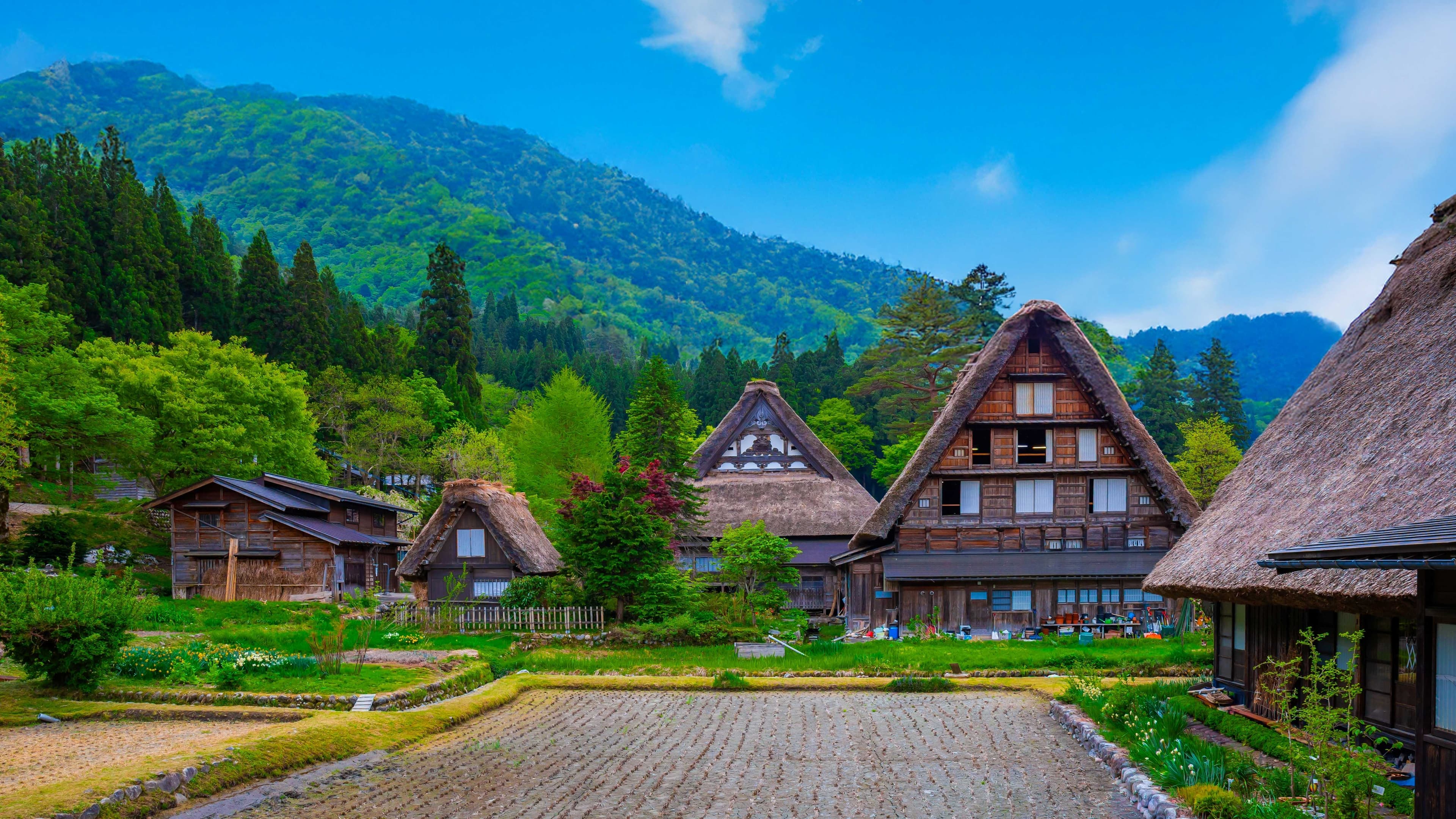 SPRING JAPAN GOLDEN ROUTE + SHIRAKAWAGO & WISTERIA FLOWER FESTIVAL