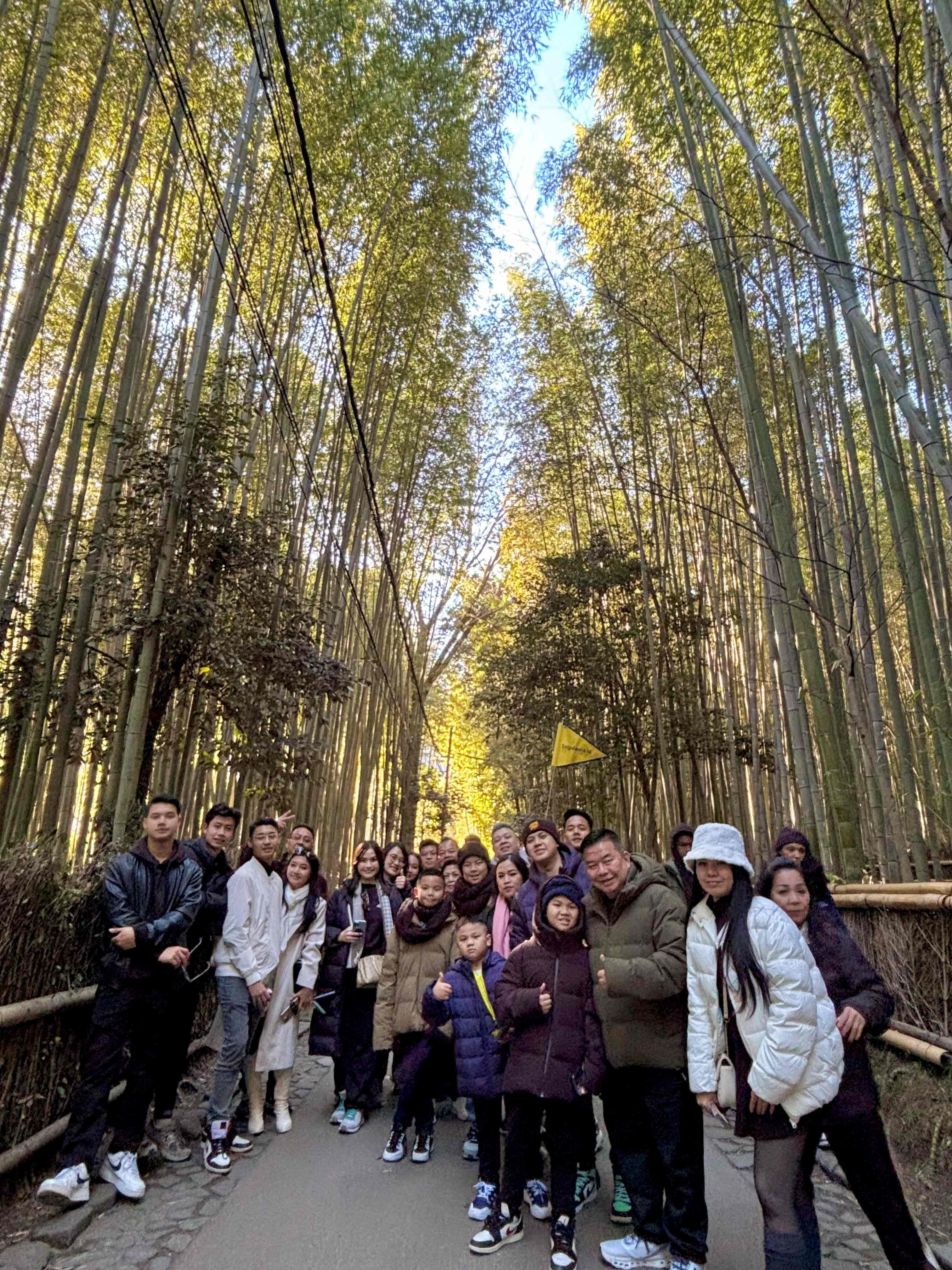 JAPAN GOLDEN ROUTE CHERRY BLOSSOM + SHIRAKAWAGO