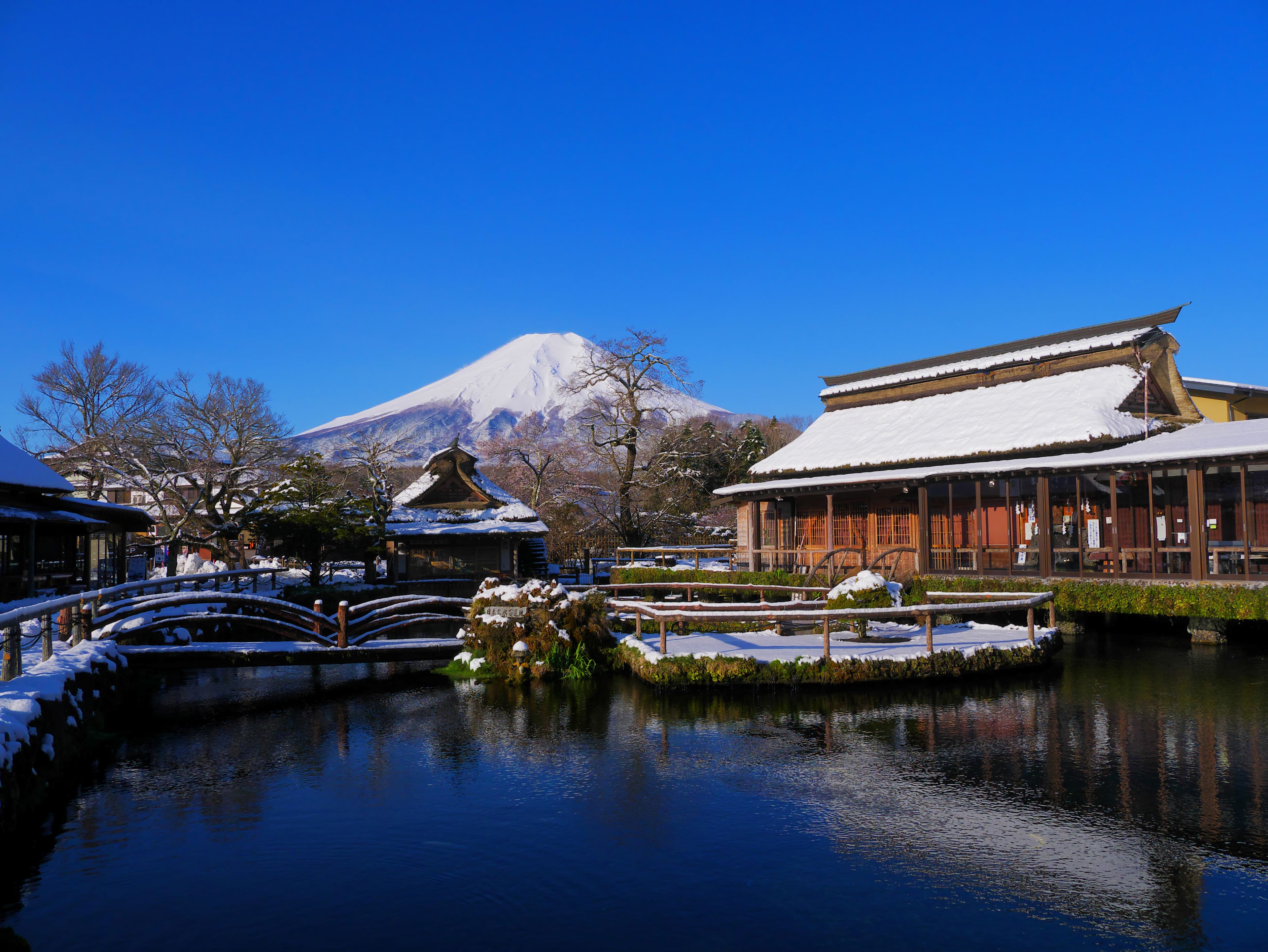 WINTER JAPAN GOLDEN ROUTE + SHIRAKAWAGO & FUJITEN SKI RESORT