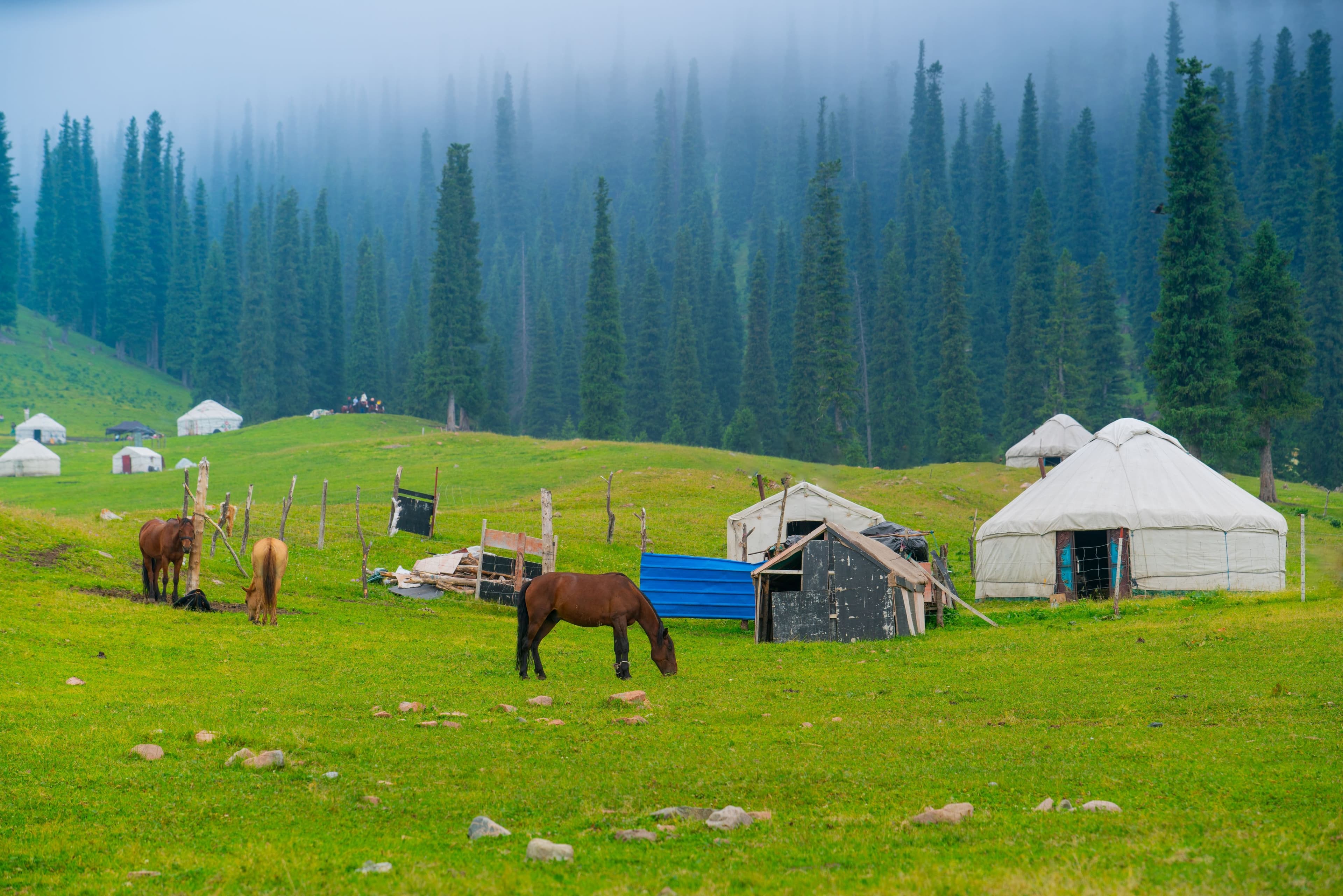 SCENIC NORTHERN XINJIANG SIGNATURE JOURNEY + NALATI GRASSLAND