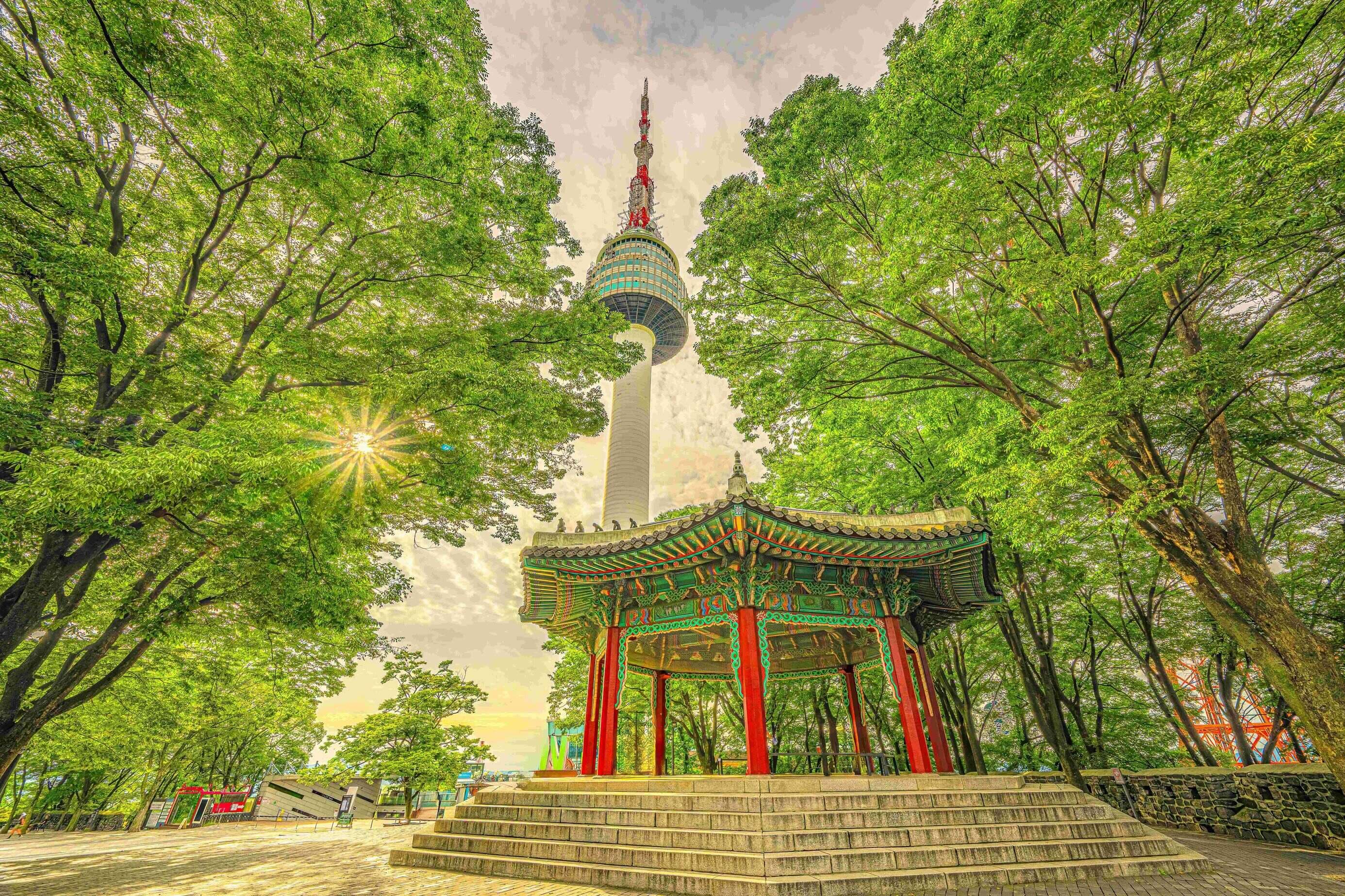 CHILLING IN SEOUL + NAMI ISLAND & EVERLAND THEME PARK