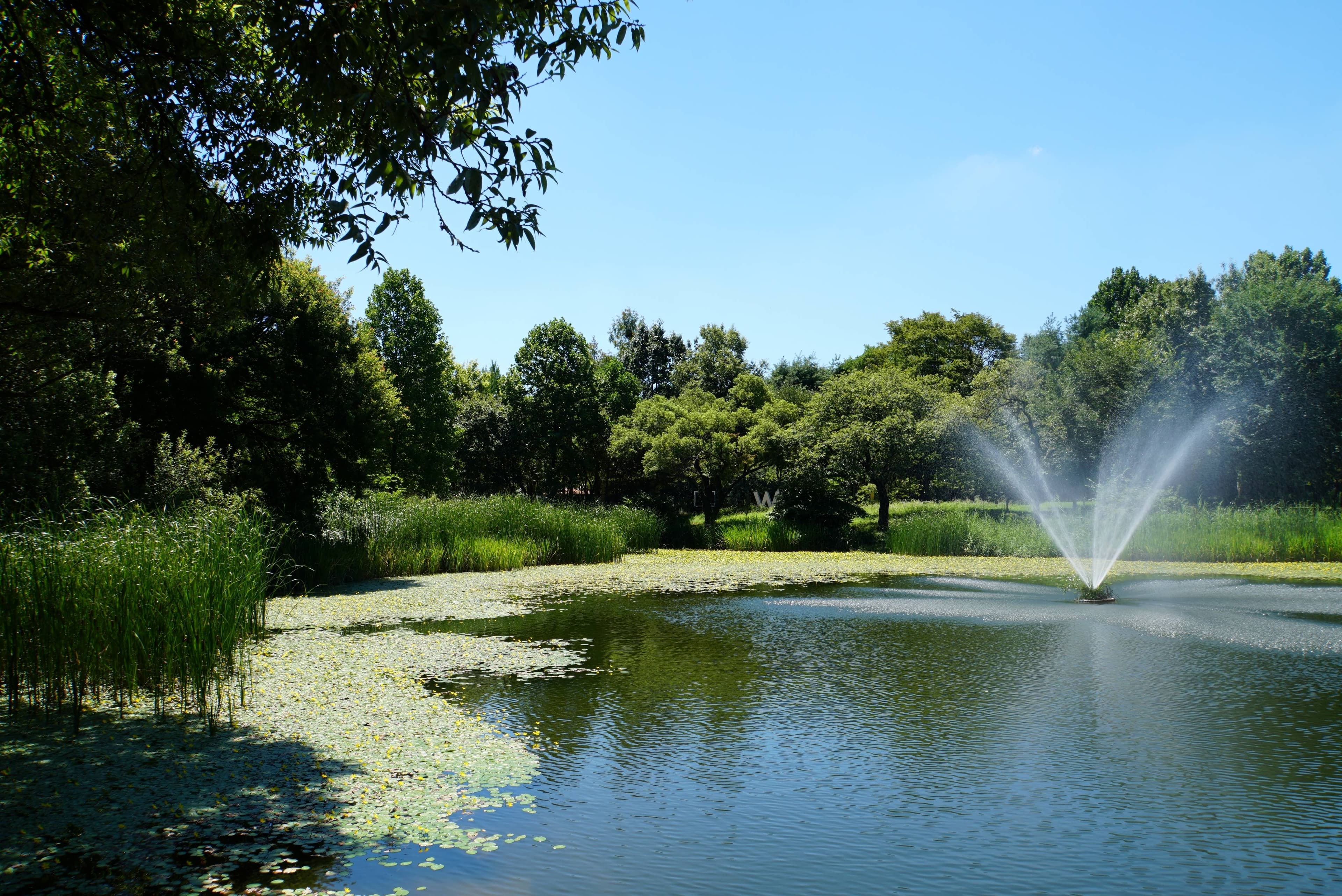 Seoul Forest Park