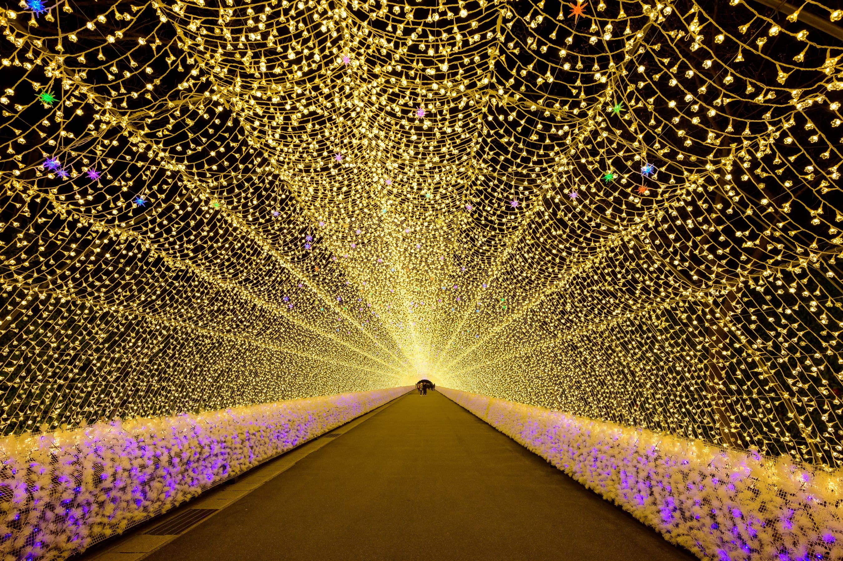 JAPAN GOLDEN ROUTE + FUJITEN SKI RESORT & WINTER ILLUMINATION FESTIVAL