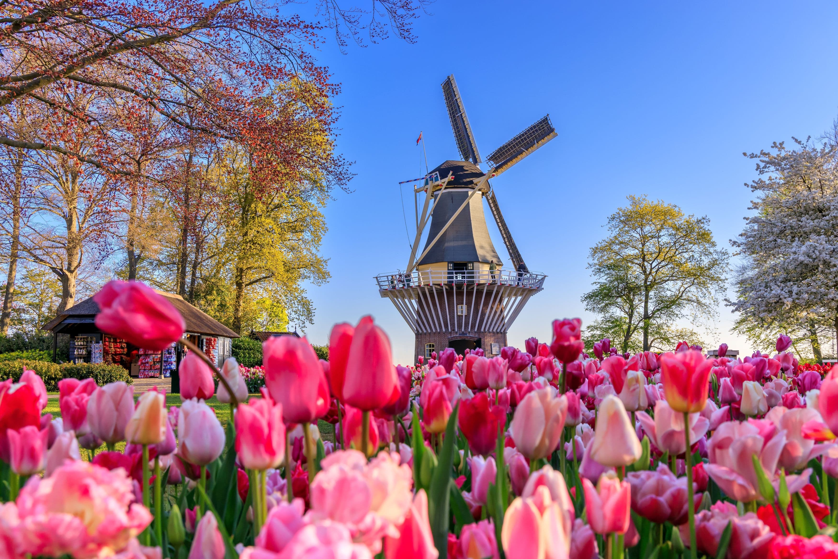 WEST EUROPE 9 COUNTRIES + KEUKENHOF FESTIVAL