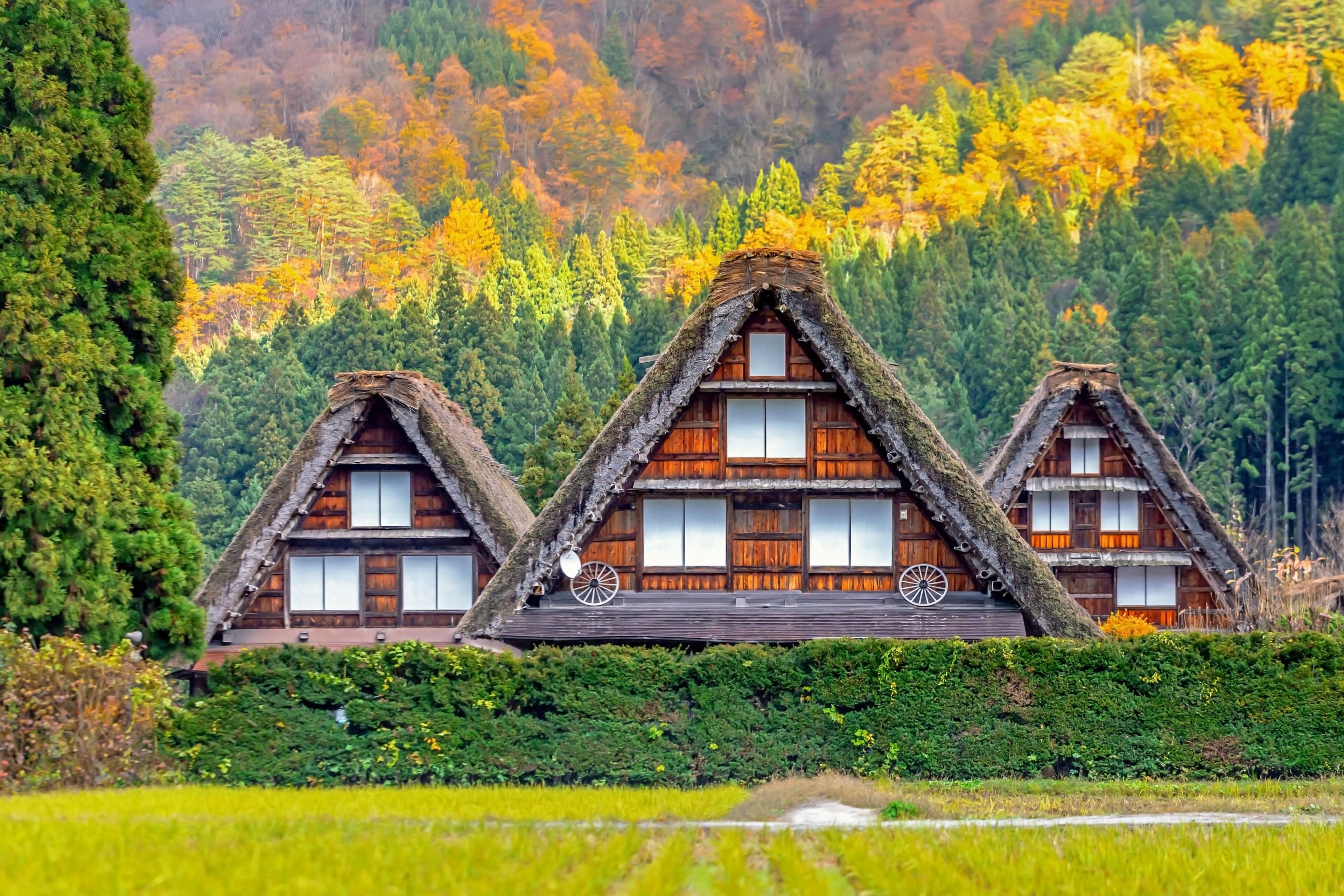 Shirakawago 2