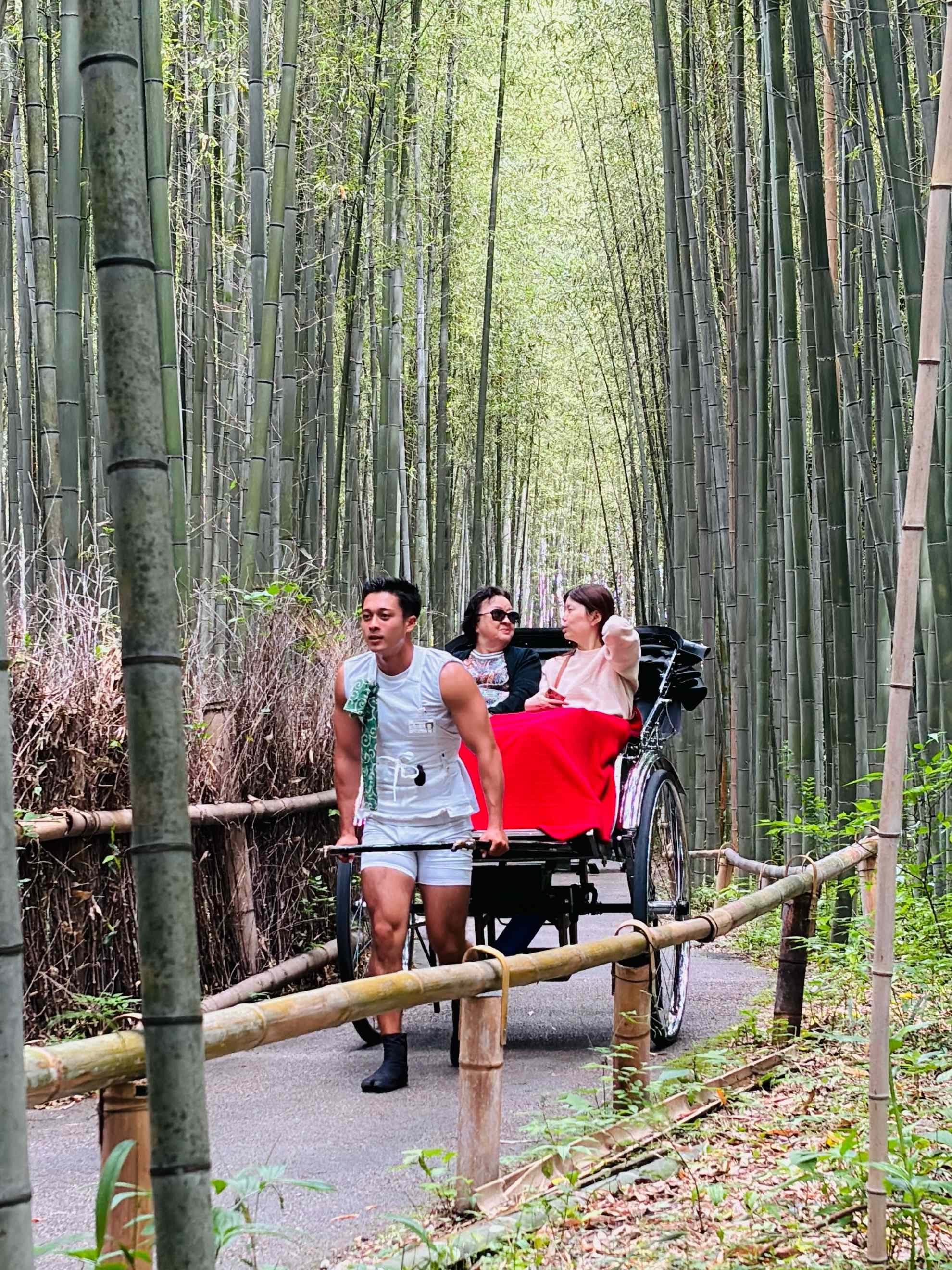ARASHIYAMA BAMBOO1