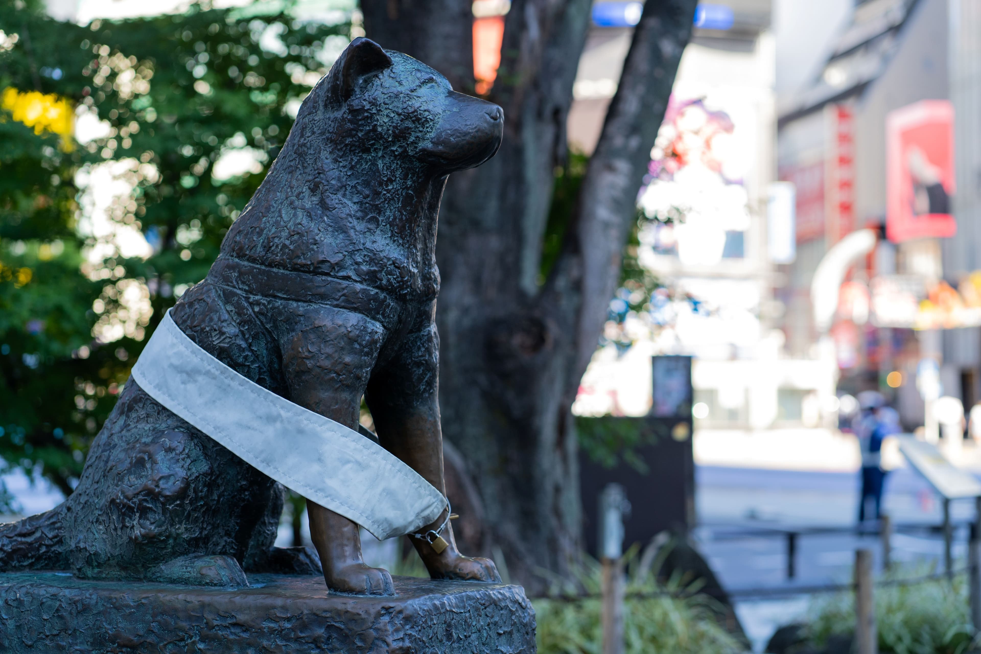 hachiko statue shibuya